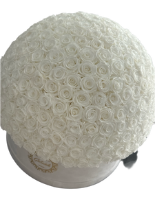 300 Roses 🌹 Bouquet