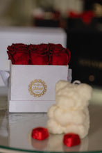 Valentine’s Day cutie💞