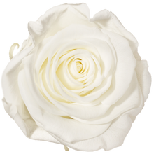 Heart shape bouquet more than 50 roses