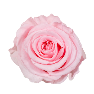 Heart shape bouquet more than 50 roses