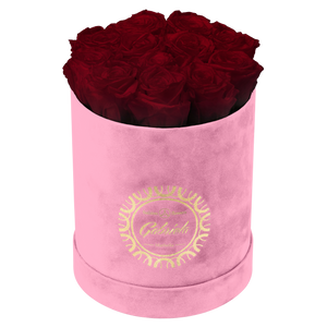 Small Luxury Round Velvet bouquet with more than  10 Roses