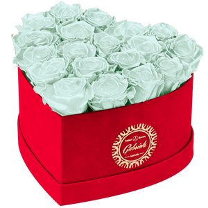 Heart with more than 16 Roses