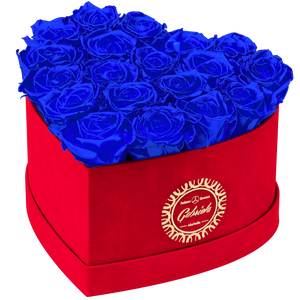 Heart with more than 16 Roses