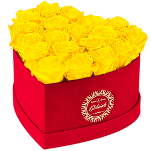 Heart with more than 16 Roses