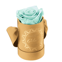 1 Rose Round