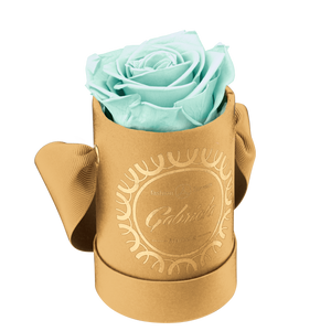 1 Rose Round