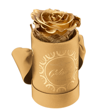 1 Rose Round
