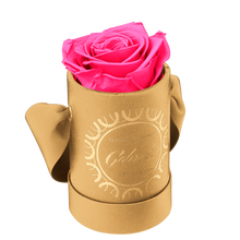 1 Rose Round