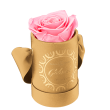 1 Rose Round