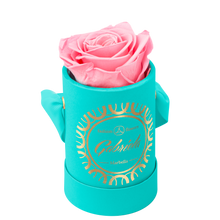 1 Rose Round