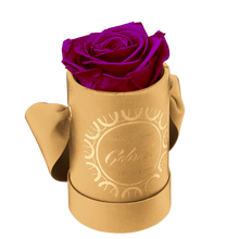 1 Rose Round