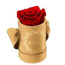 1 Rose Round