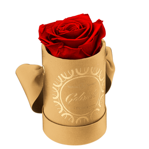 1 Rose Round