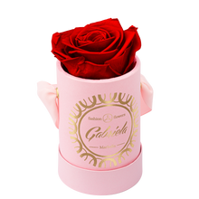 1 Rose Round