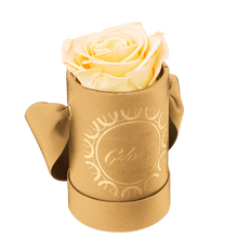 1 Rose Round