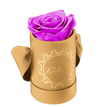 1 Rose Round