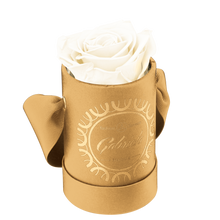 1 Rose Round
