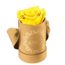 1 Rose Round