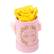 1 Rose Round