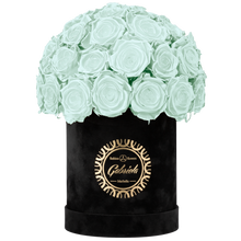 Velvet Special Collection bouquet with more than 25 Roses