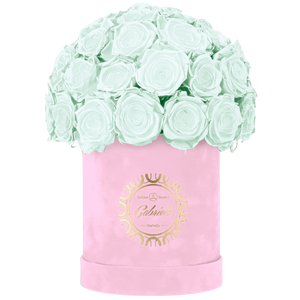 Velvet Special Collection bouquet with more than 25 Roses