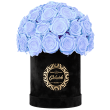 Velvet Special Collection bouquet with more than 25 Roses