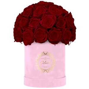 Velvet Special Collection bouquet with more than 25 Roses