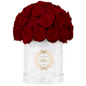 Velvet Special Collection bouquet with more than 25 Roses