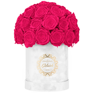 Velvet Special Collection bouquet with more than 25 Roses