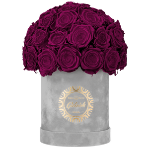Velvet Special Collection bouquet with more than 25 Roses