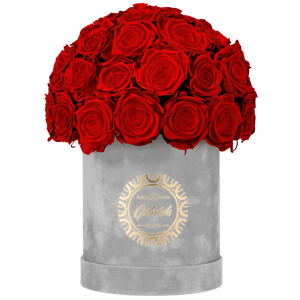 Velvet Special Collection bouquet with more than 25 Roses