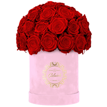 Velvet Special Collection bouquet with more than 25 Roses