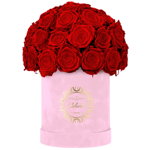 Velvet Special Collection bouquet with more than 25 Roses