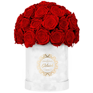 Velvet Special Collection bouquet with more than 25 Roses