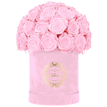 Velvet Special Collection bouquet with more than 25 Roses