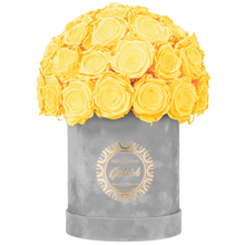 Velvet Special Collection bouquet with more than 25 Roses