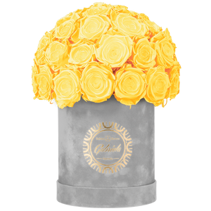 Velvet Special Collection bouquet with more than 25 Roses
