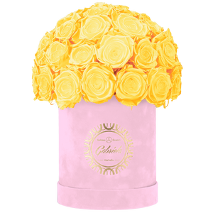 Velvet Special Collection bouquet with more than 25 Roses