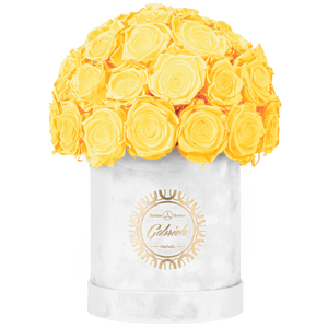 Velvet Special Collection bouquet with more than 25 Roses