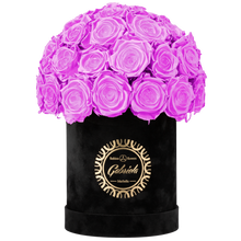 Velvet Special Collection bouquet with more than 25 Roses