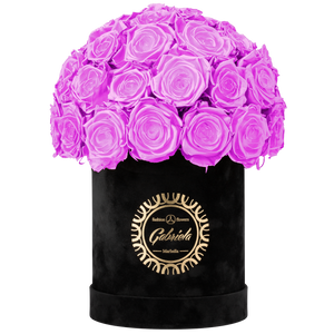 Velvet Special Collection bouquet with more than 25 Roses