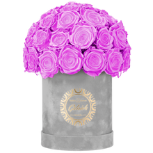 Velvet Special Collection bouquet with more than 25 Roses
