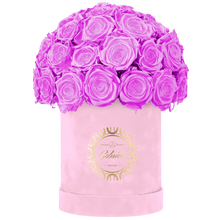 Velvet Special Collection bouquet with more than 25 Roses