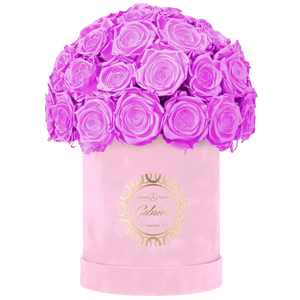 Velvet Special Collection bouquet with more than 25 Roses