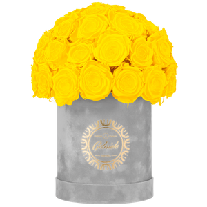 Velvet Special Collection bouquet with more than 25 Roses