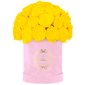 Velvet Special Collection bouquet with more than 25 Roses