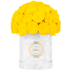 Velvet Special Collection bouquet with more than 25 Roses