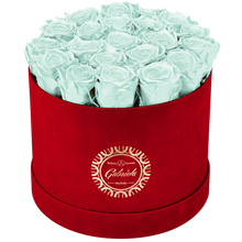 Luxury Big Round Velvet  bouquet wit more than 27 Roses