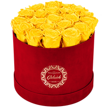 Luxury Big Round Velvet  bouquet wit more than 27 Roses