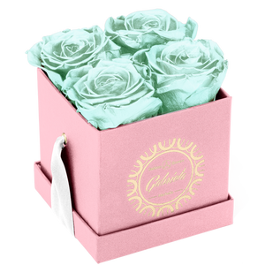 4 Roses  Velvet Square Box